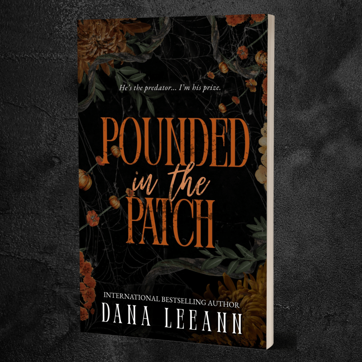 Pounded in the Patch Regular Paperback